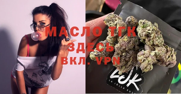 прущая мука Вяземский